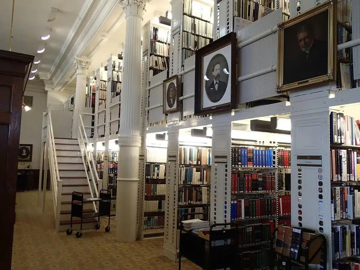 Rayonnage de bibliothèque avec romans contemporains bien rangés