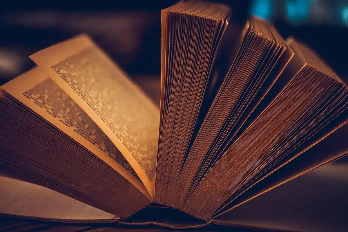 Pages d'un livre ouvert montrant du texte narratif et des changements de perspective