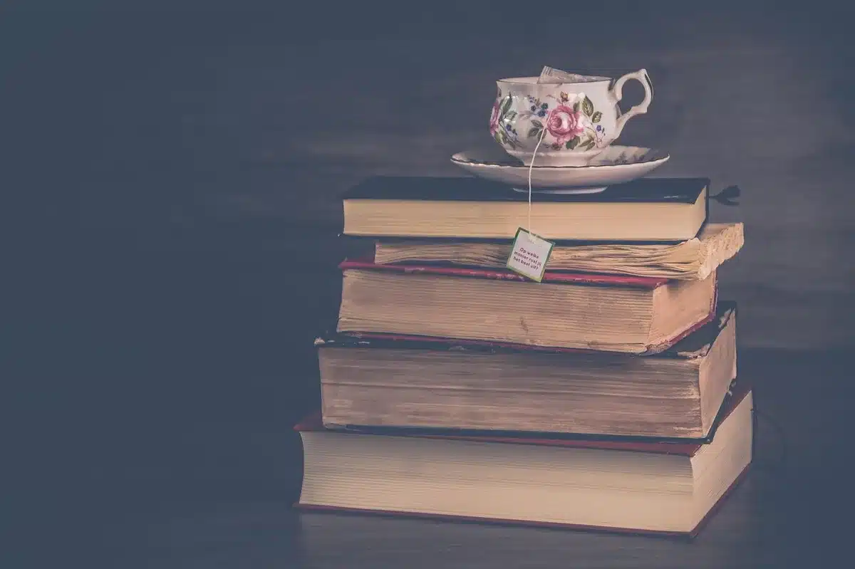 Pile de romans sur une table, étiquetés par ambiance de lecture