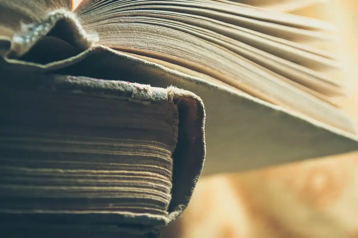 Une pile variée de livres de différentes épaisseurs et couleurs, représentant un mélange de lectures légères et denses.
