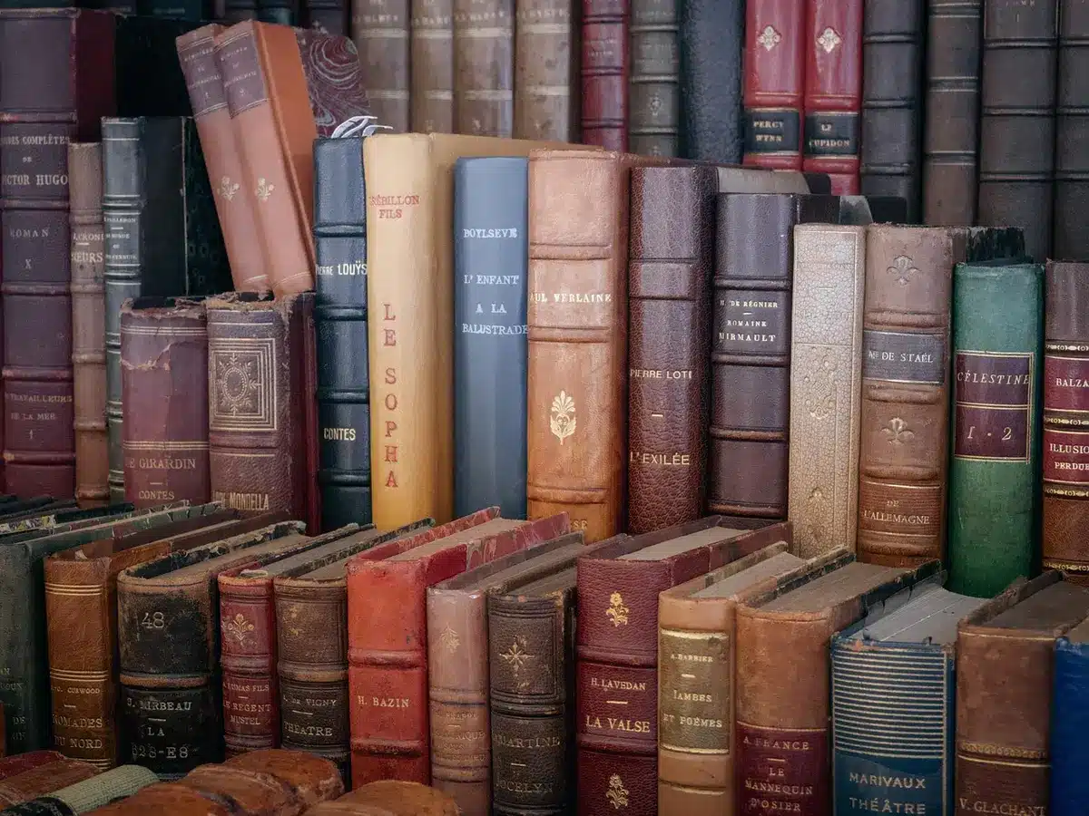 Étagère de livres de backlist avec des éditions de poche et des couvertures variées.