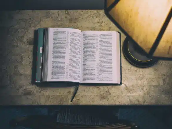 Bureau de lecture avec plusieurs livres ouverts, carnet et stylo dans la lumière naturelle