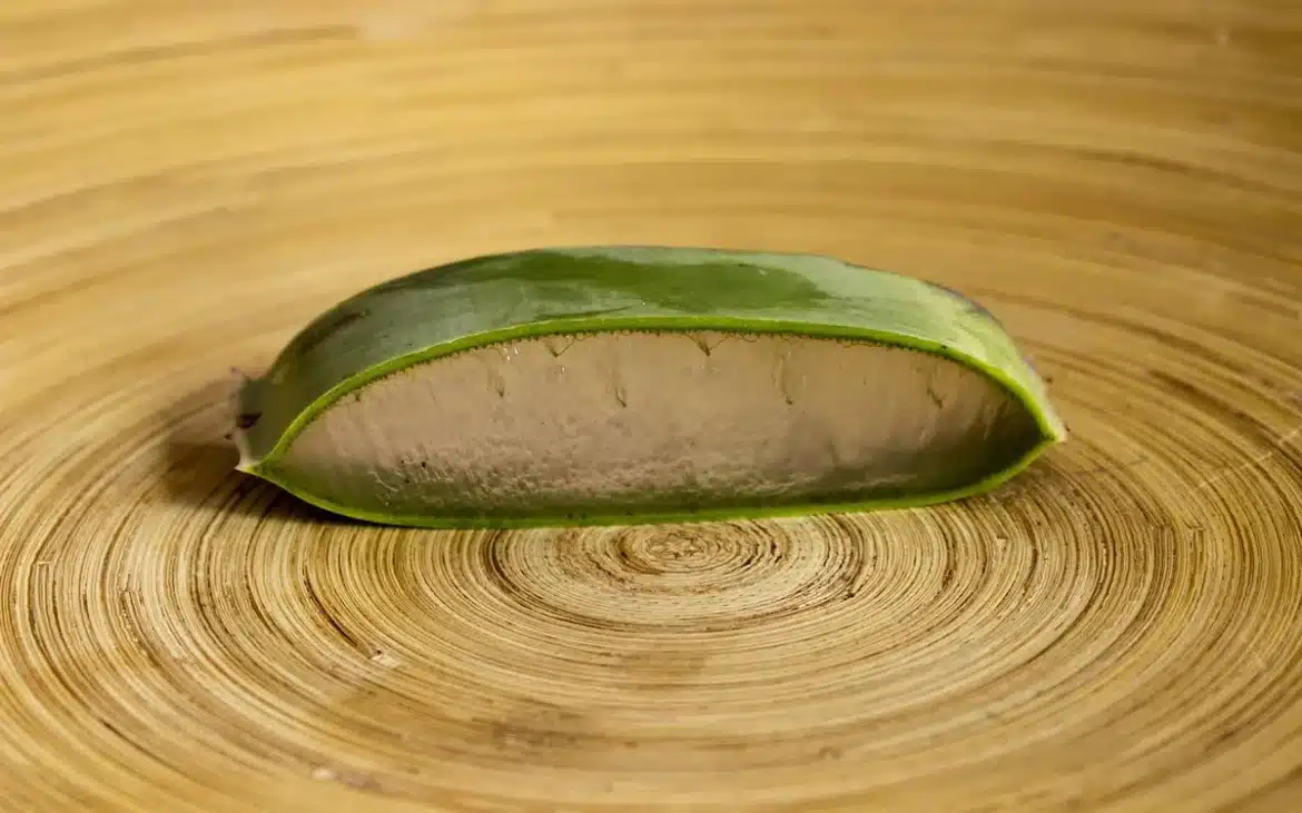Main anonyme coupant une feuille d'aloe vera dans une cuisine en journée