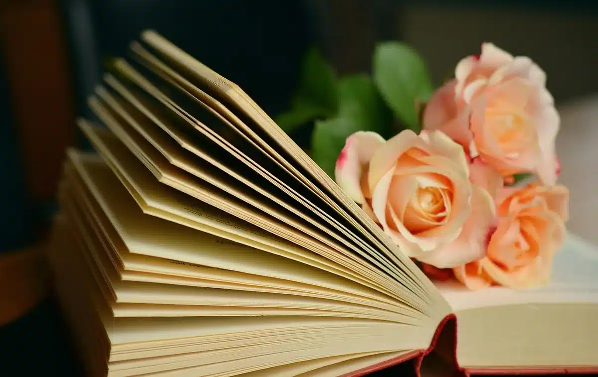 Différents formats de lecture : livre papier, liseuse et écouteurs posés ensemble