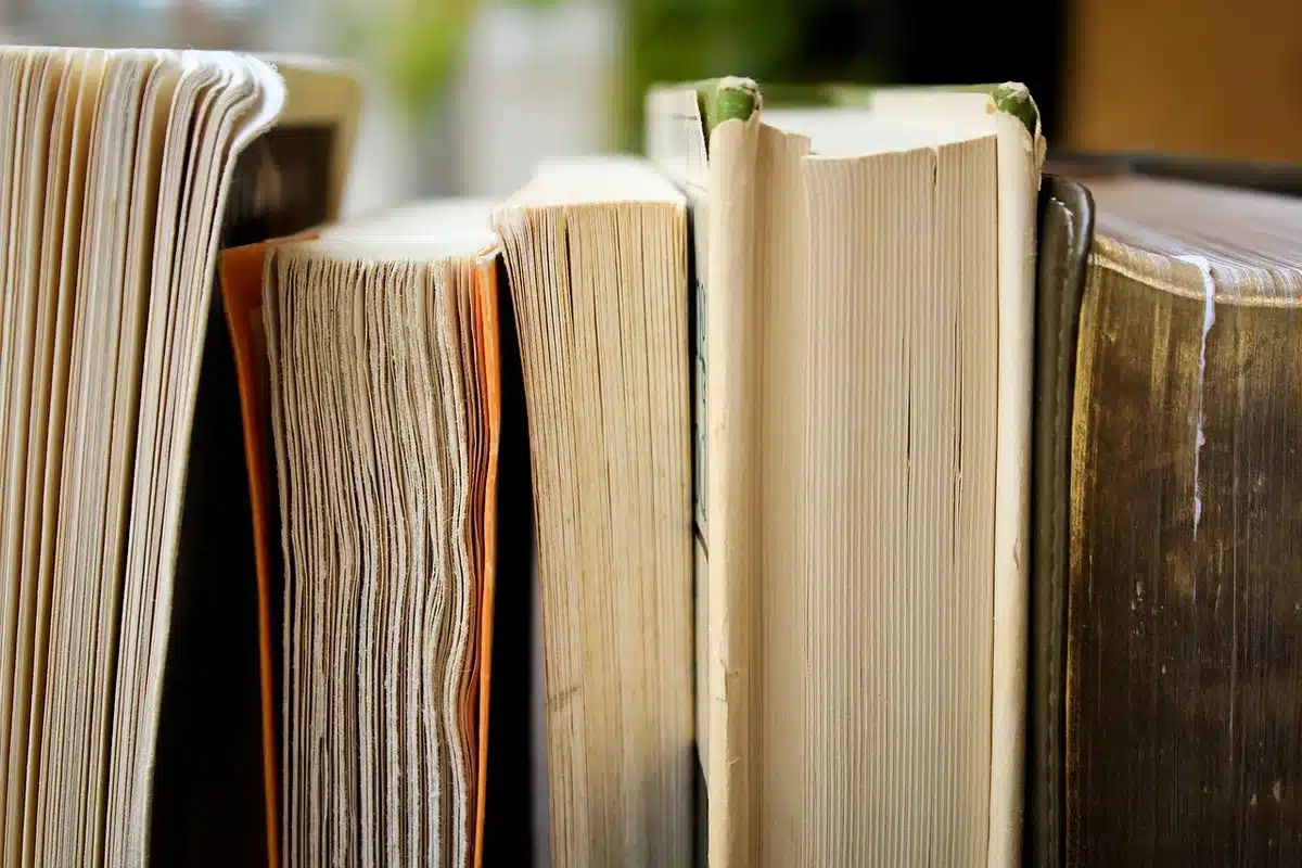 Pile de livres variés alternant roman dense et lecture légère