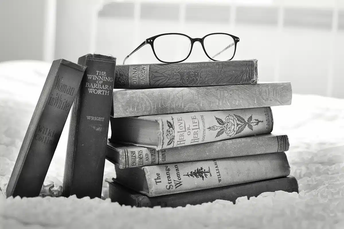 Pile de livres classiques près d'une fenêtre en journée