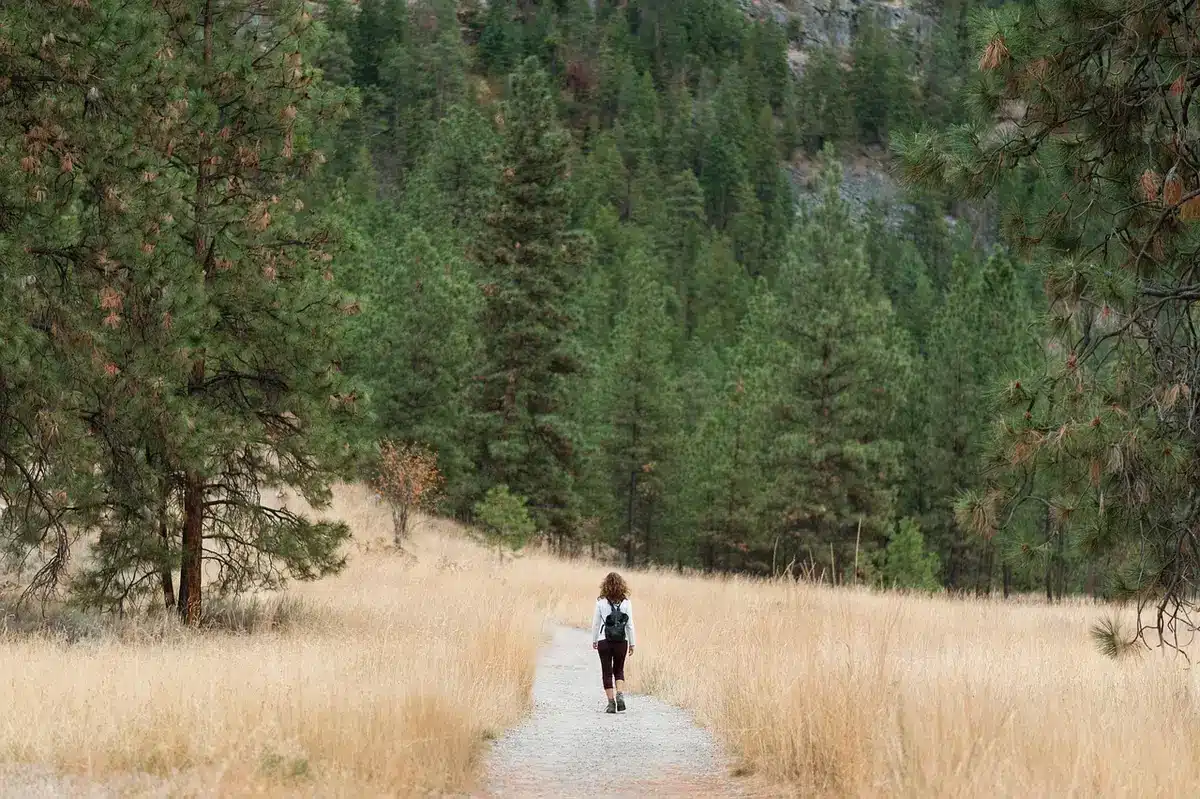 Randonneur avec sac à dos sur un sentier en forêt en plein jour