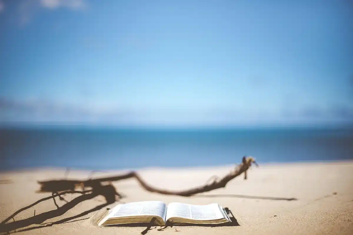 Personne lisant un livre sur une serviette de plage au soleil